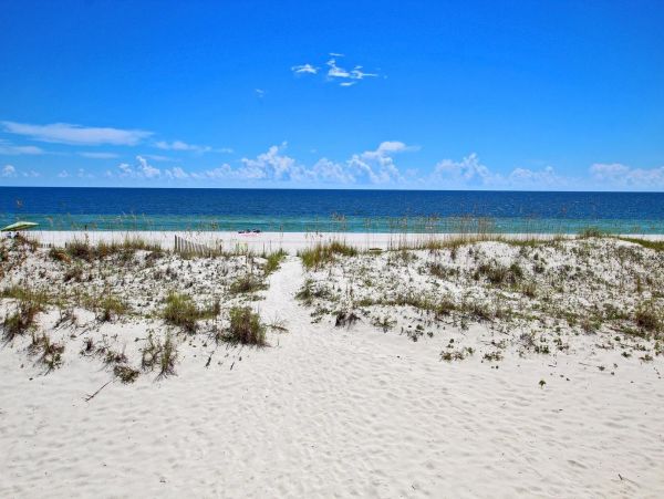 Alabama Beach Areas Home 992774