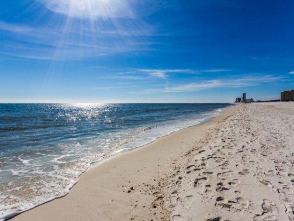 Alabama Beach Areas Condo 992778