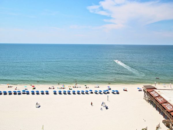 Alabama Beach Areas Condo 992786