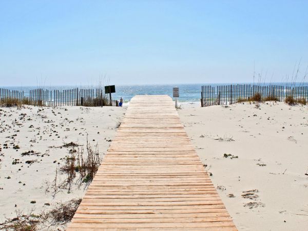 Alabama Beach Areas Condo 992788