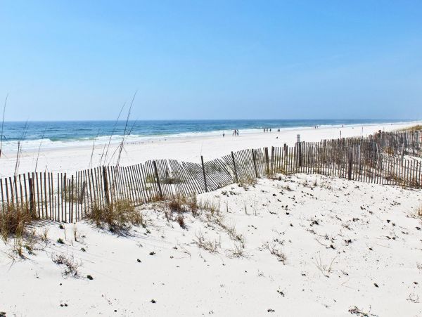 Alabama Beach Areas Condo 992788