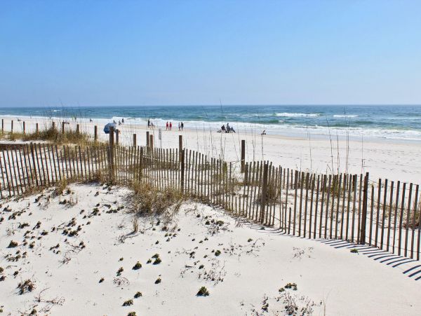 Alabama Beach Areas Condo 992788
