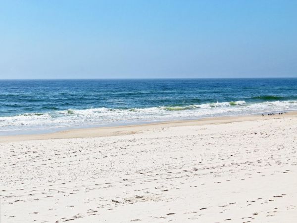 Alabama Beach Areas Condo 992788