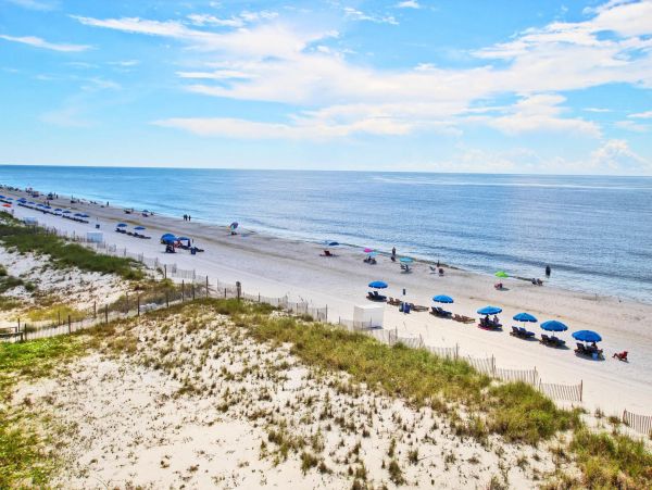 Alabama Beach Areas Condo 992792