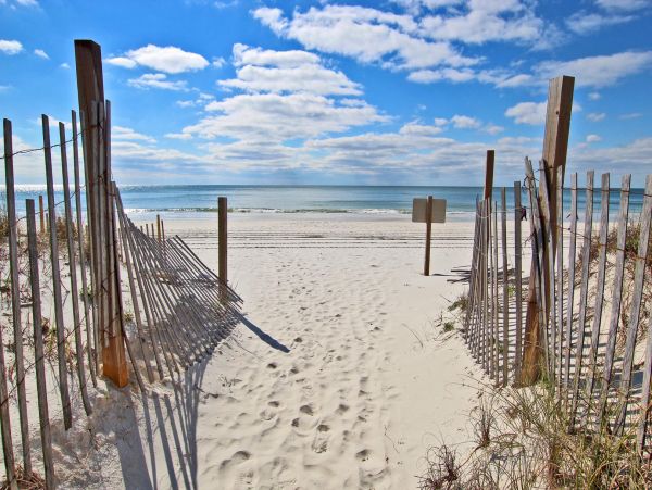 Alabama Beach Areas Condo 992802