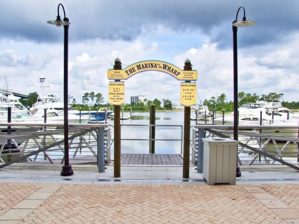 Alabama Beach Areas Condo 992803