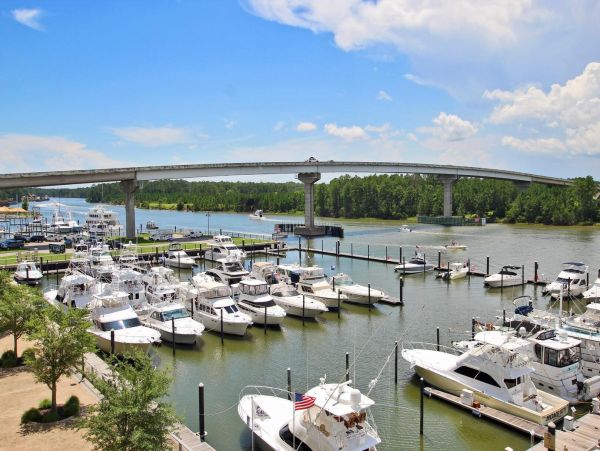 Alabama Beach Areas Condo 992805