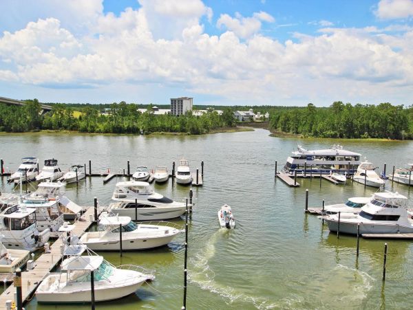 Alabama Beach Areas Condo 992805