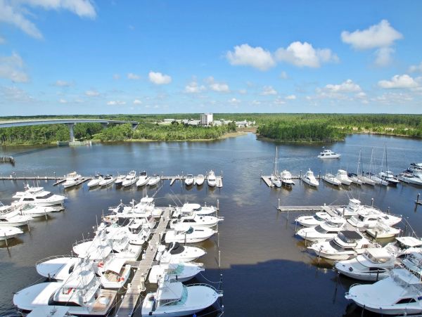 Alabama Beach Areas Condo 992807