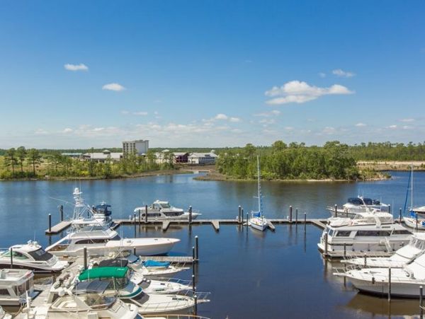 Alabama Beach Areas Condo 992810