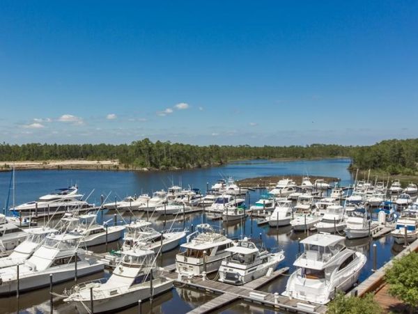 Alabama Beach Areas Condo 992810