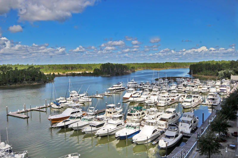 Alabama Beach Areas Condo 992811