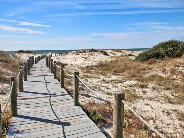 Alabama Beach Areas Condo 992816