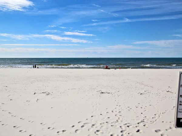 Alabama Beach Areas Condo 992816