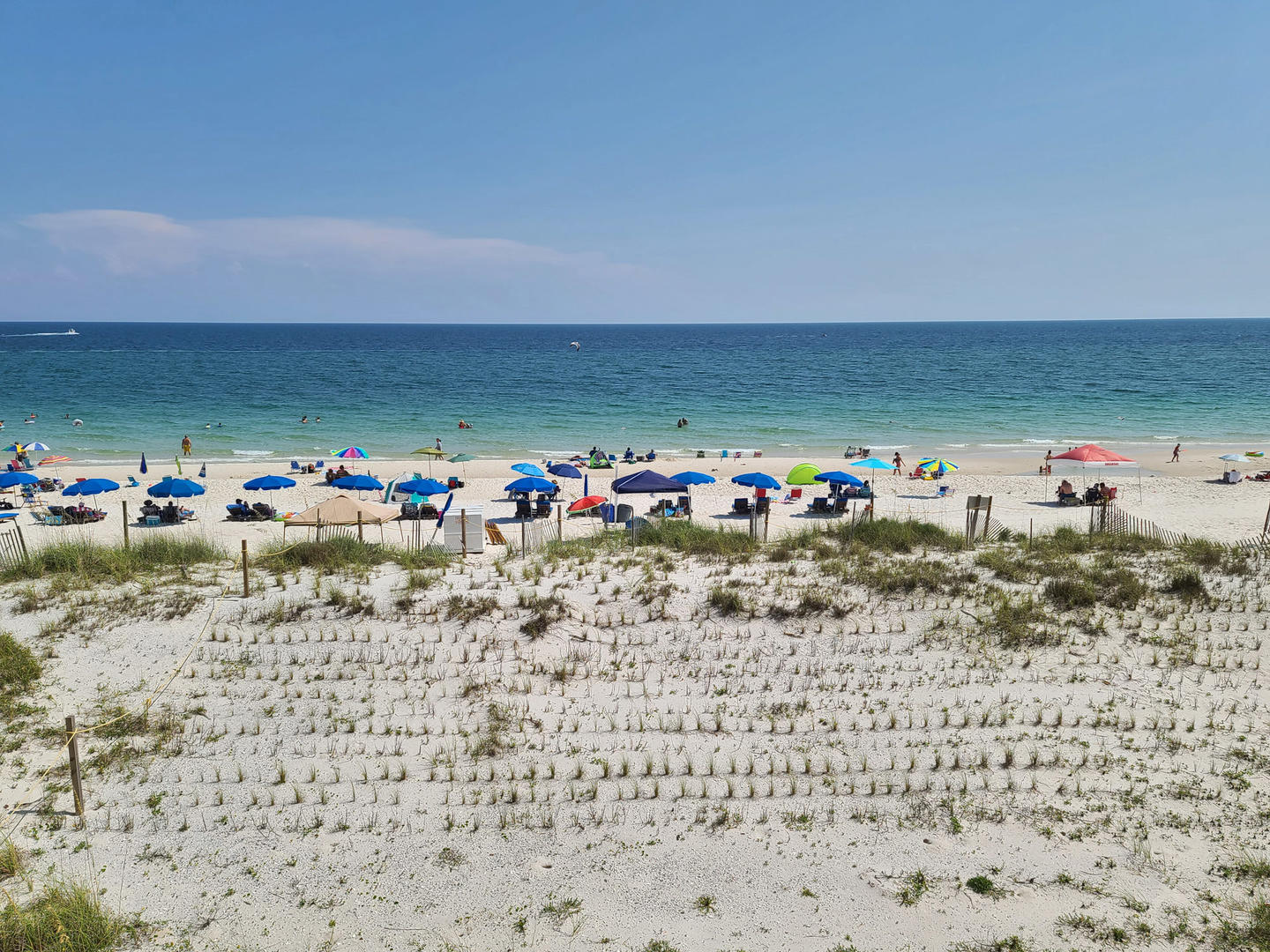 Alabama Beach Areas Condo 992822