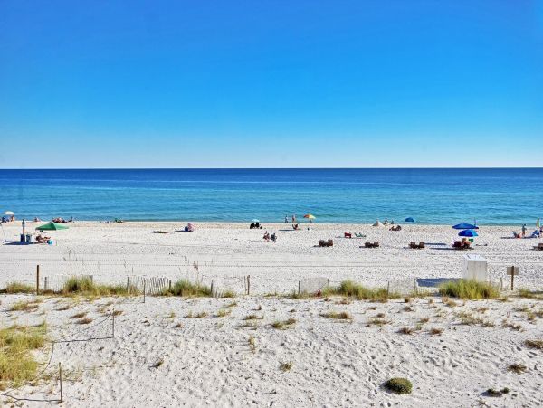 Alabama Beach Areas Condo 992822