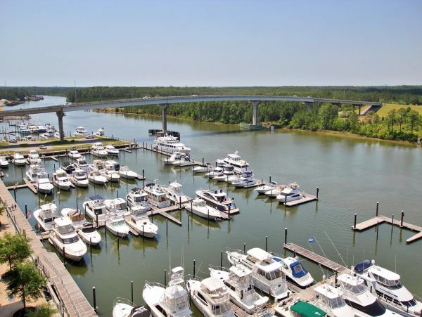 Alabama Beach Areas Condo 992823