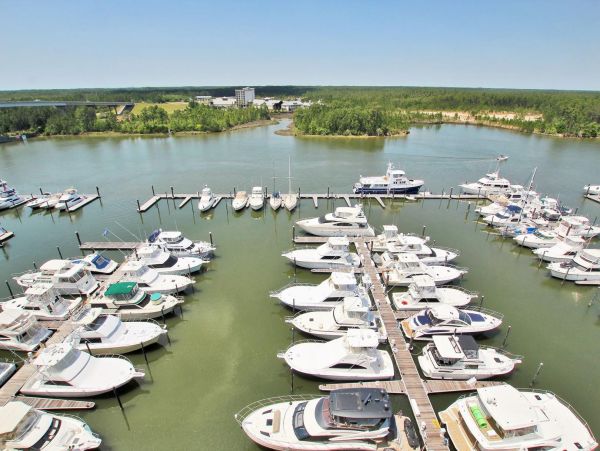Alabama Beach Areas Condo 992823