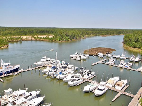 Alabama Beach Areas Condo 992823
