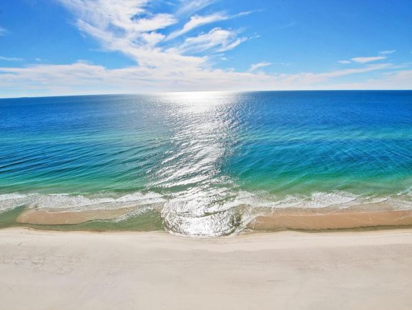 Alabama Beach Areas Condo 992824