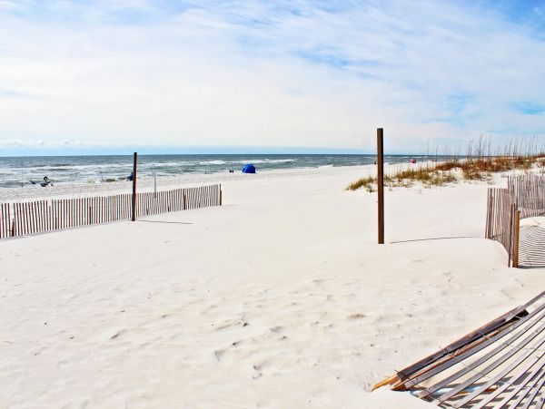 Alabama Beach Areas Condo 992825
