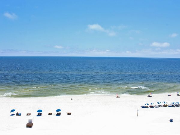 Alabama Beach Areas Condo 992828