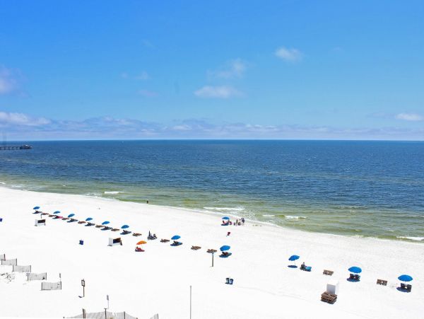 Alabama Beach Areas Condo 992828