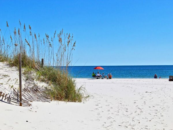 Alabama Beach Areas Condo 992828