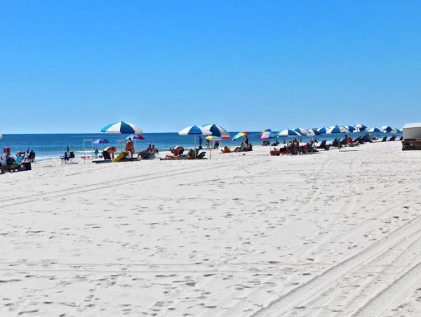 Alabama Beach Areas Condo 992828