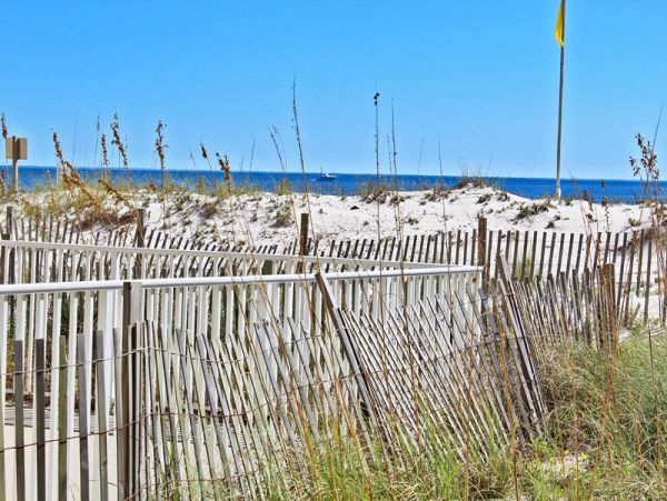 Alabama Beach Areas Condo 992828
