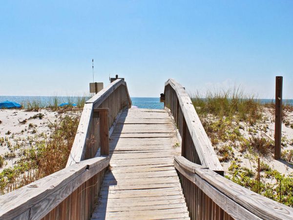 Alabama Beach Areas Condo 992832