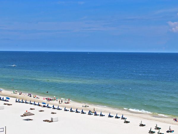 Alabama Beach Areas Condo 992833