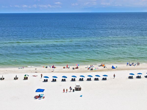 Alabama Beach Areas Condo 992833