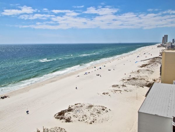 Alabama Beach Areas Condo 992834