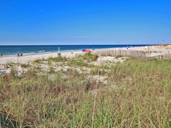 Alabama Beach Areas Condo 992840
