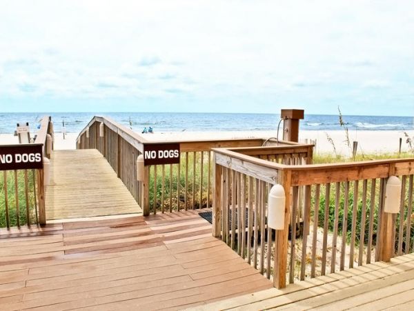 Alabama Beach Areas Condo 992841