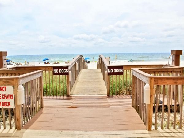 Alabama Beach Areas Condo 992841