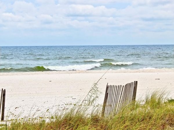 Alabama Beach Areas Condo 992841