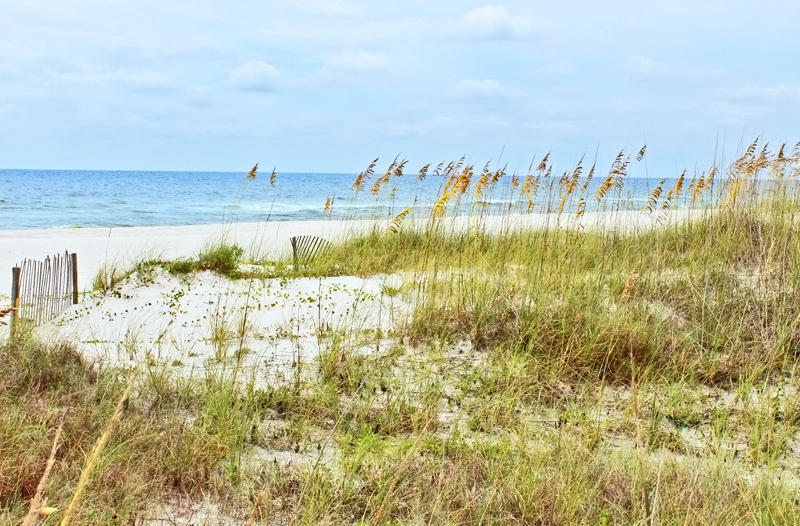 Alabama Beach Areas Condo 992841