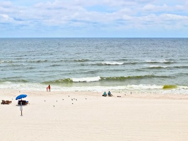 Alabama Beach Areas Condo 992841