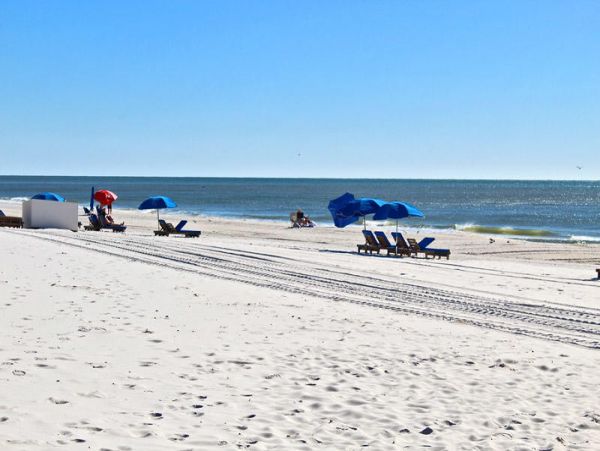Alabama Beach Areas Condo 992843