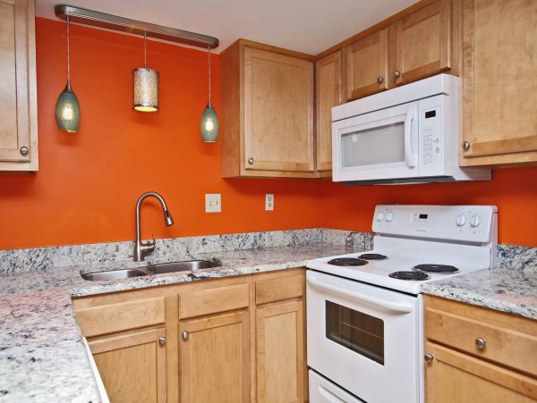 Alabama Beach Areas Condo 992844