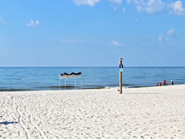 Alabama Beach Areas Condo 992844