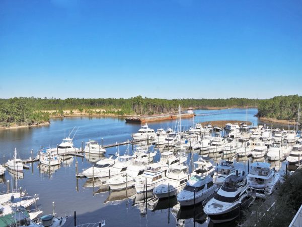 Alabama Beach Areas Condo 992849