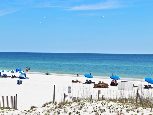 Alabama Beach Areas Condo 992850