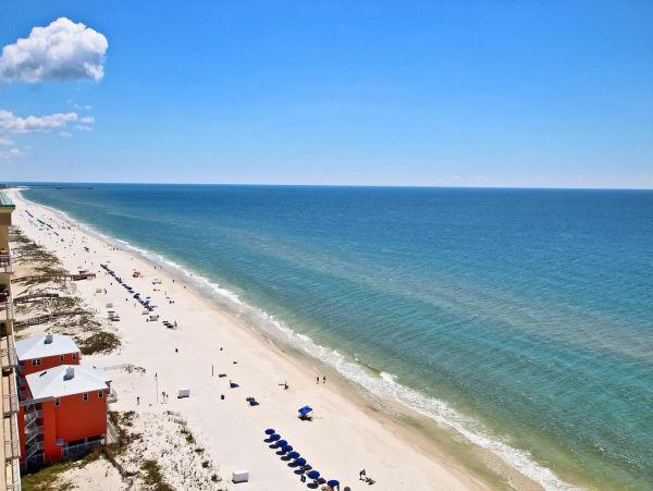 Alabama Beach Areas Condo 992852