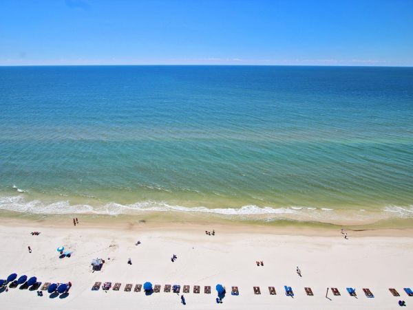Alabama Beach Areas Condo 992852