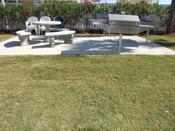 Alabama Beach Areas Condo 992853