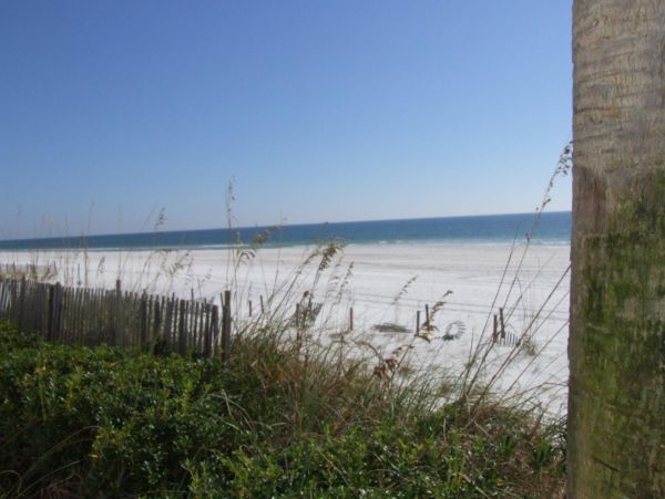 Alabama Beach Areas Condo 992853