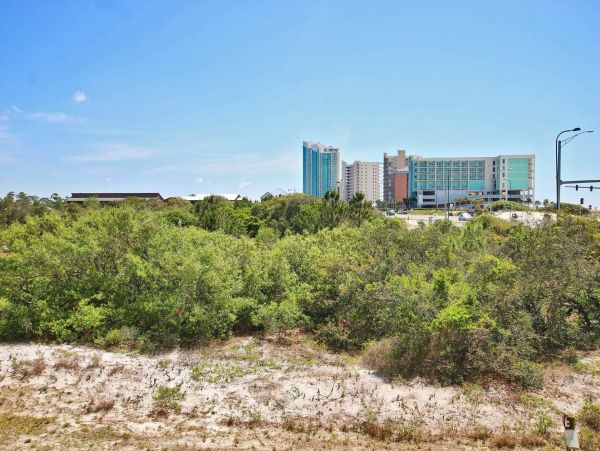 Alabama Beach Areas Condo 992859